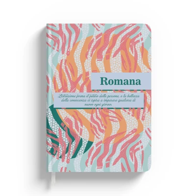 Agende personalizzate - Fire ball