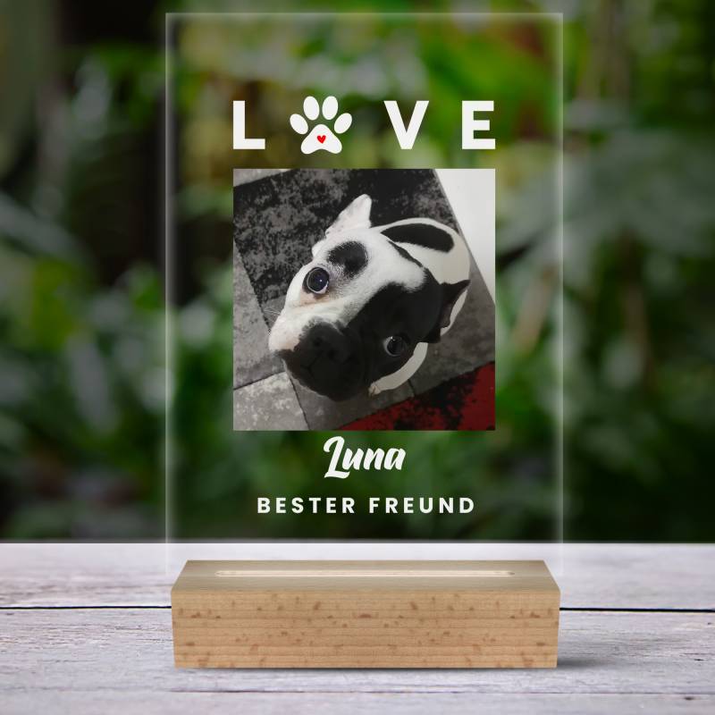 Lampada LED personalizzata con foto del tuo cane