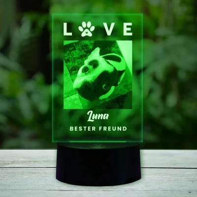 Lampada LED personalizzata con foto del tuo cane