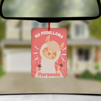 Profumatore per auto - Nessun problema