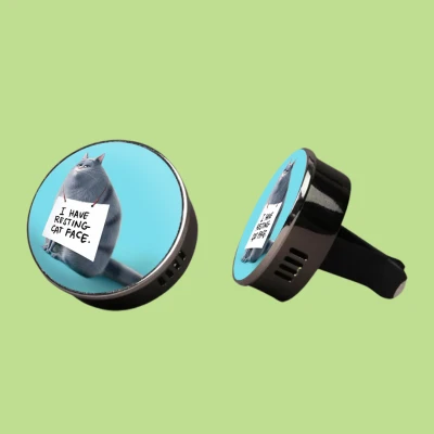 Deodorante per auto profumato - Gatto a riposo