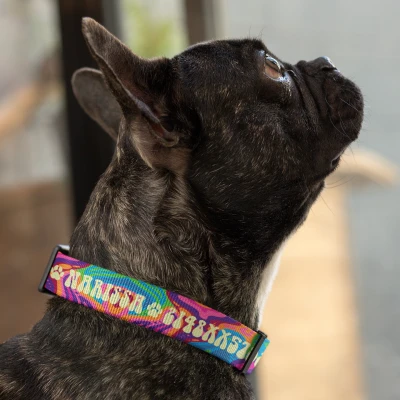 Collare per cani - Multicolore con impronte di zampe