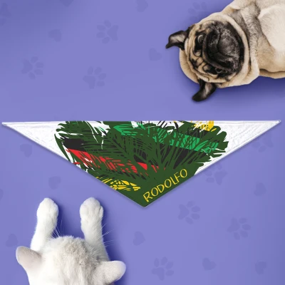 Bandana Cane Personalizzata - Rasta