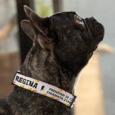 Collare per cani - Fulmine