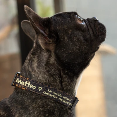 Collare per cani - Stampa animalier