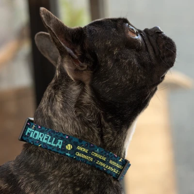 Collare per cani - Marshmallow