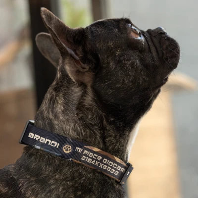 Collare per cani - Comando