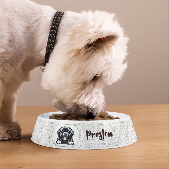 Ciotola per cani personalizzata in plastica - Razza del cane