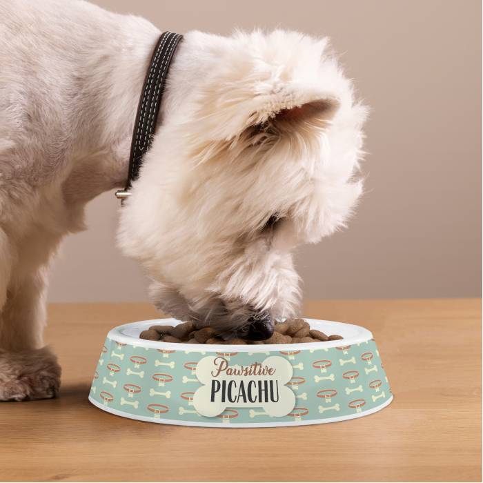 Ciotola per cani personalizzata in plastica - Zampettosamente positivo