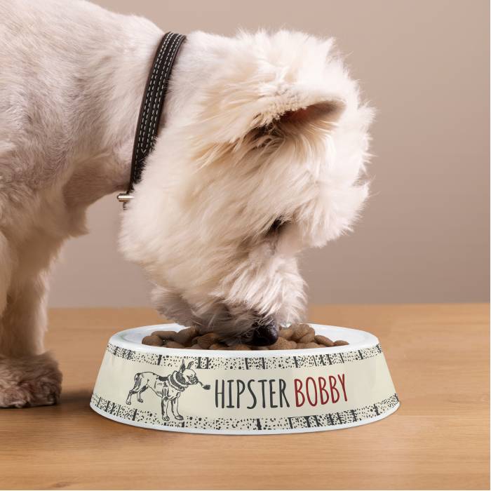 Ciotola per cani personalizzata in plastica - Hipster