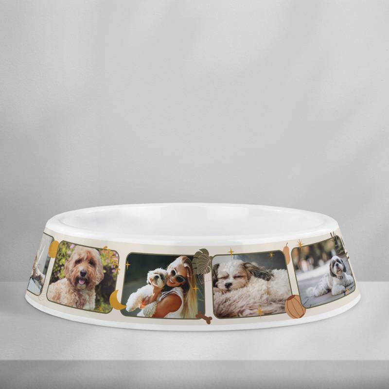 Ciotola per cani personalizzata in plastica – Collage fotografico
