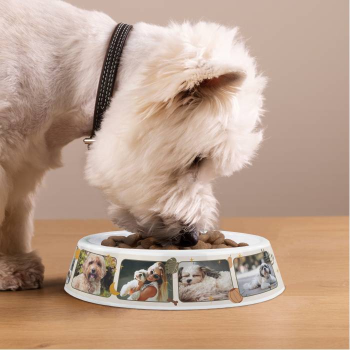 Ciotola per cani personalizzata in plastica – Collage fotografico