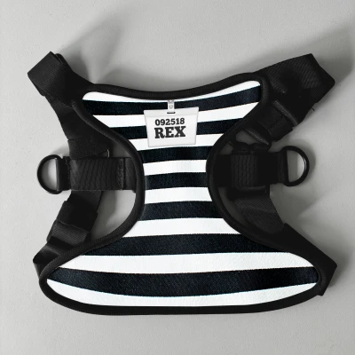 Pettorina personalizzata per cani - Zapor