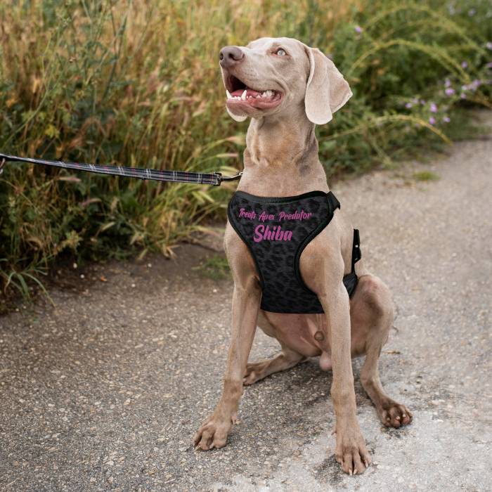Pettorina personalizzata per cani - Predatore