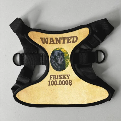 Pettorina personalizzata per cani - Wanted