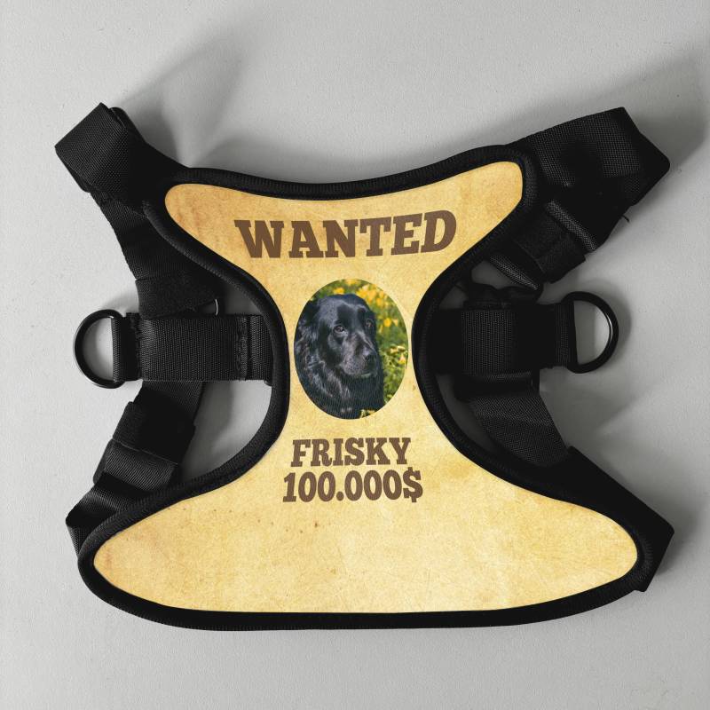 Pettorina personalizzata per cani - Wanted