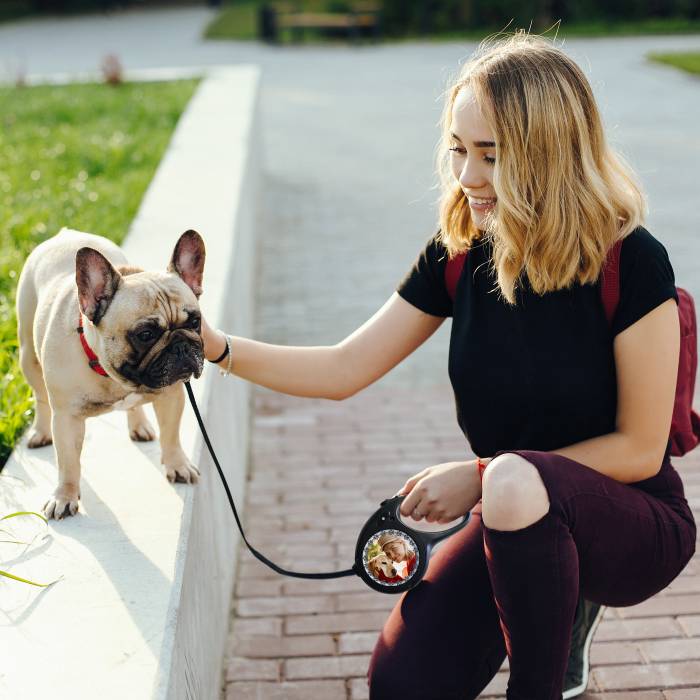 Guinzaglio per cani - Con numero di telefono
