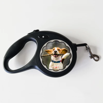 Guinzaglio per cani – Tutto ciò di cui hai bisogno