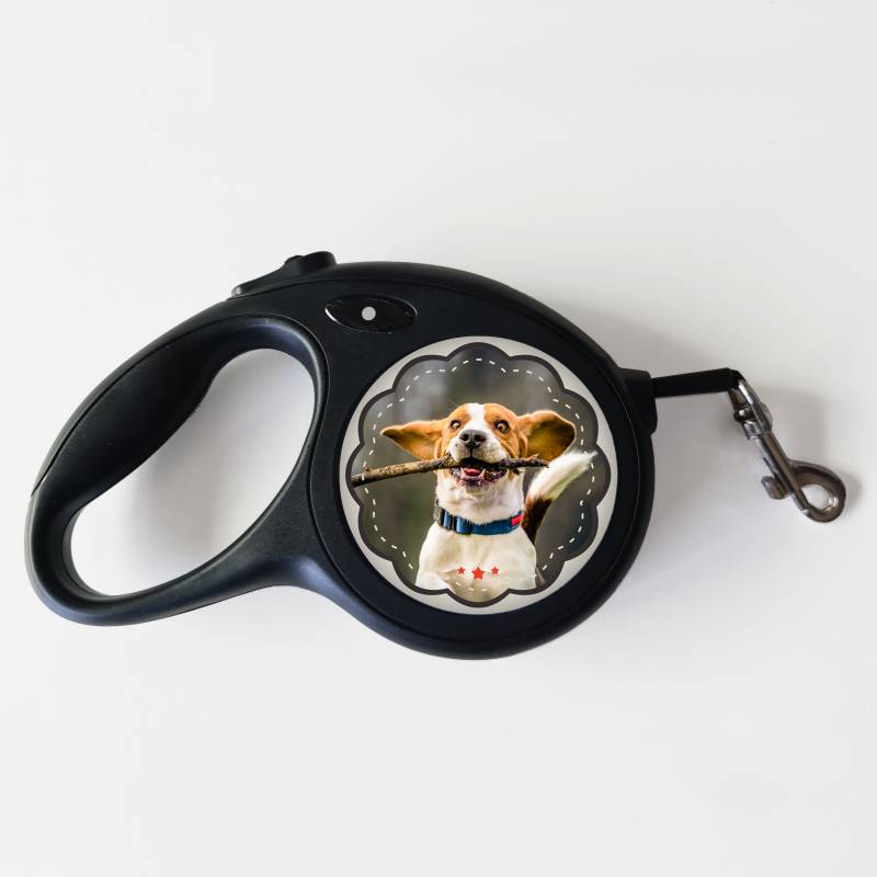 Guinzaglio per cani – Tutto ciò di cui hai bisogno