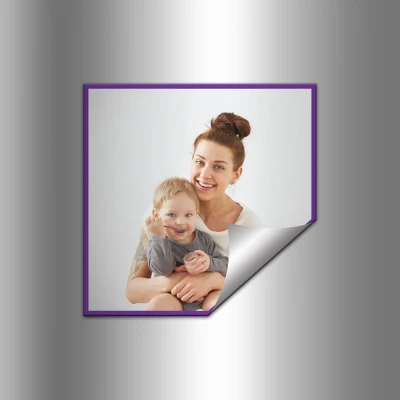 Calamite da frigorifero